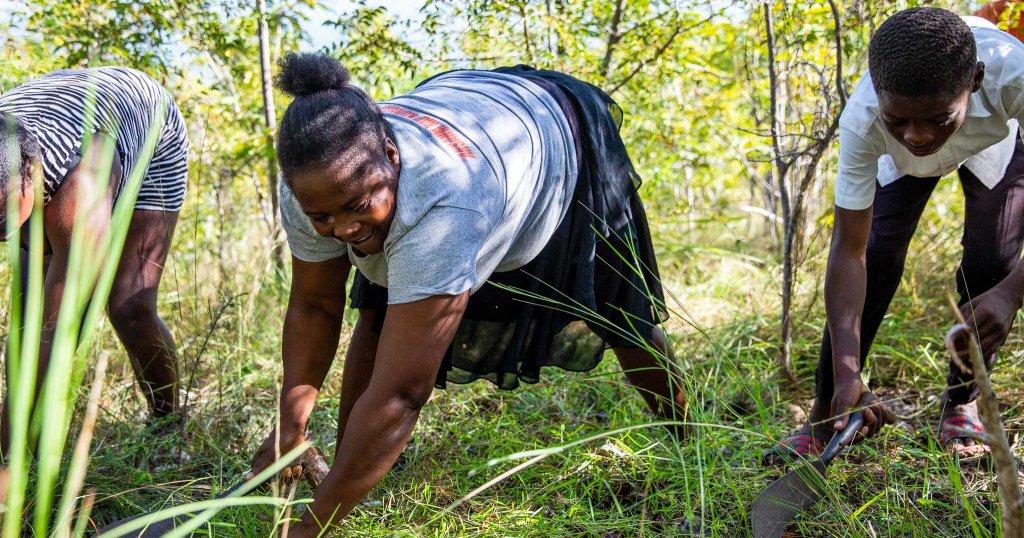 Haiti_Piod_Projektteaser_1200x630_low_bearb